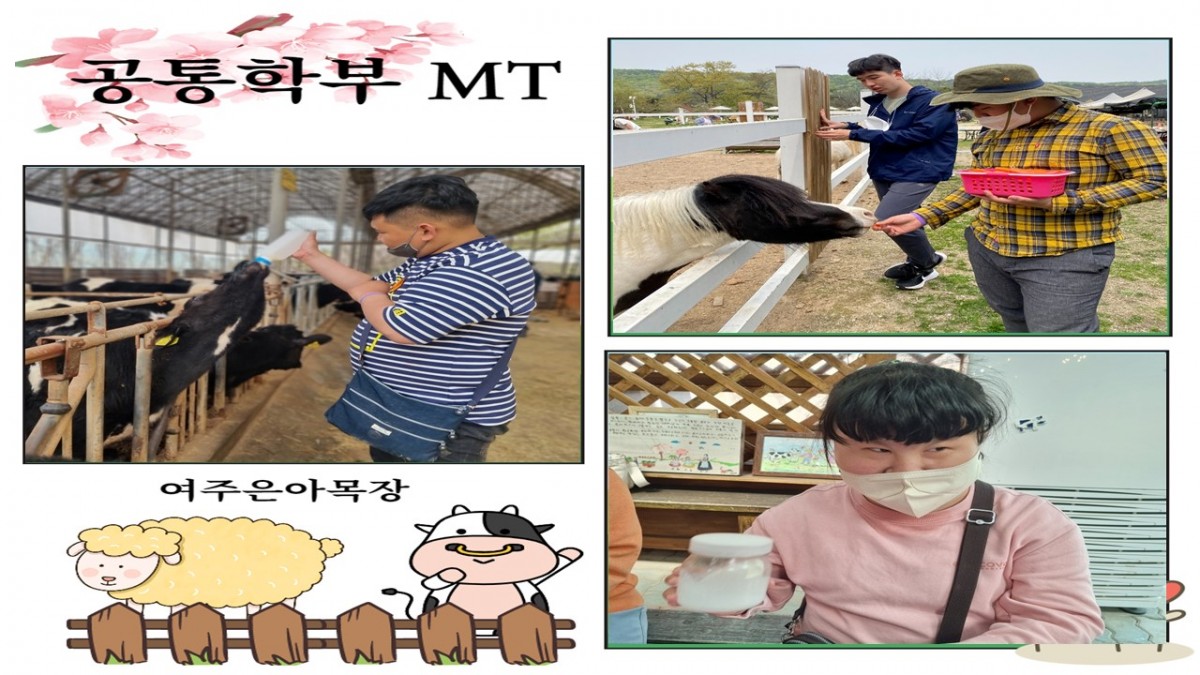9be4a4a712f0cba456f2c0326c7038c8_1651568882_15.JPG