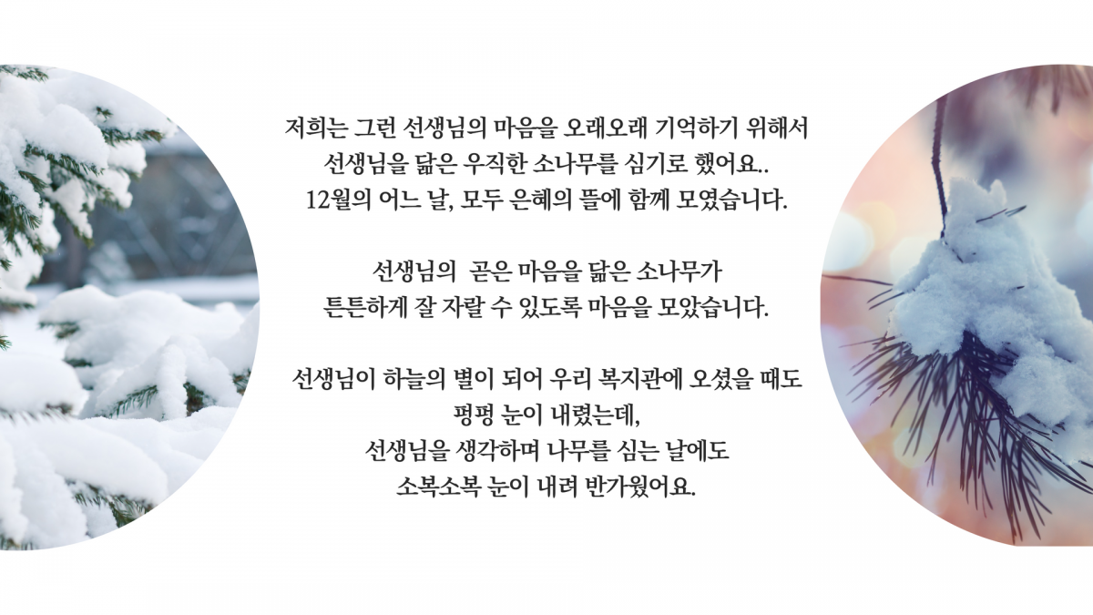 b22e1877fab1938bc891c457a95d26a3_1672843851_2.png